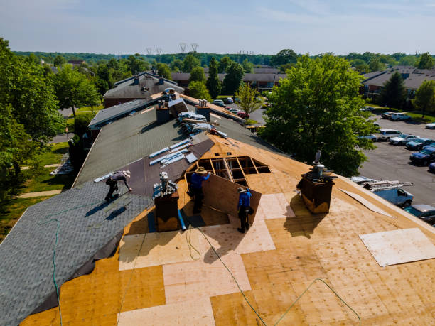 Trusted Roof Replacement service in Semora, NC - Brentwood Metal Roofing